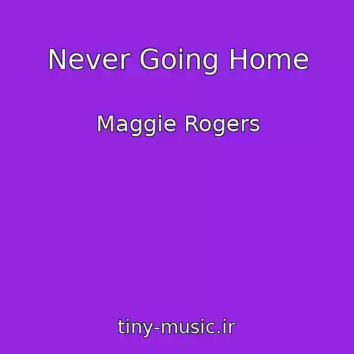 کاور آهنگ Never Going Home از Maggie Rogers