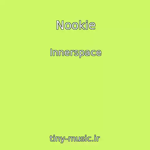 کاور آهنگ Nookie از Innerspace