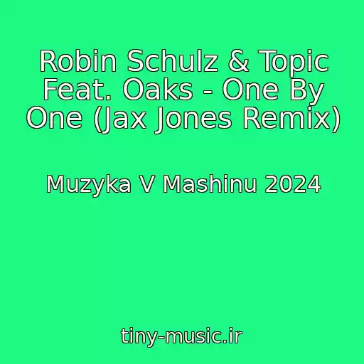 کاور آهنگ Robin Schulz & Topic Feat. Oaks - One By One (Jax Jones Remix) از Muzyka V Mashinu 2024