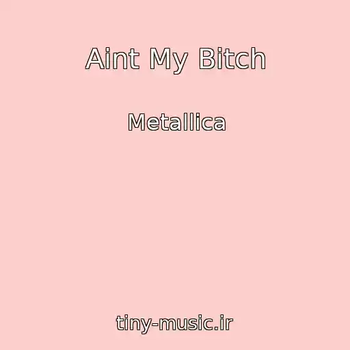 کاور آهنگ Aint My Bitch از Metallica
