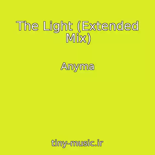 کاور آهنگ The Light (Extended Mix) از Anyma