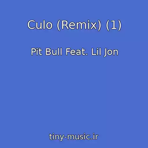 کاور آهنگ Culo (Remix) (1) از Pit Bull Feat. Lil Jon