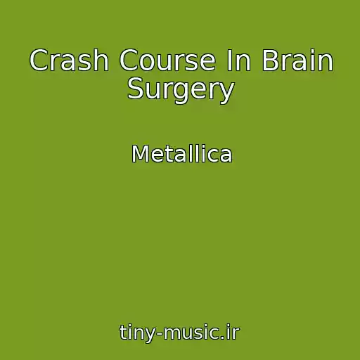 کاور آهنگ Crash Course In Brain Surgery از Metallica