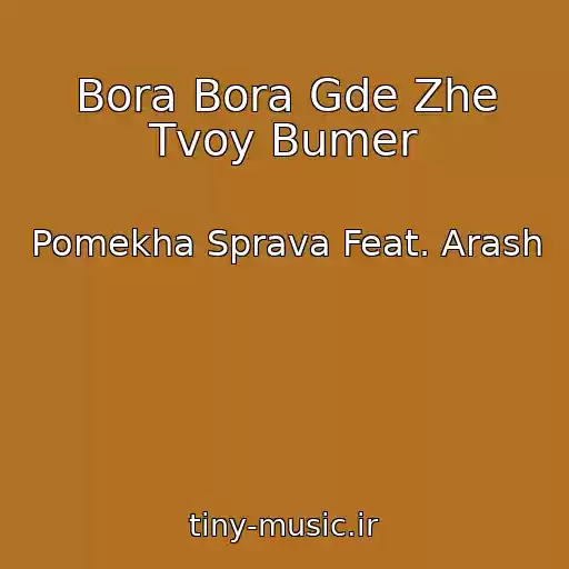 کاور آهنگ Bora Bora Gde Zhe Tvoy Bumer از Pomekha Sprava Feat. Arash