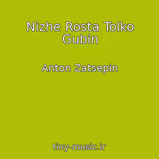 کاور آهنگ Nizhe Rosta Tolko Gubin از Anton Zatsepin