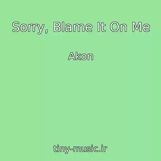کاور آهنگ Sorry, Blame It On Me از Akon