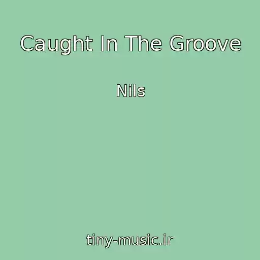 کاور آهنگ Caught In The Groove از Nils