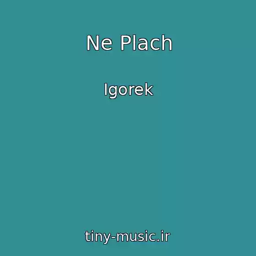 کاور آهنگ Ne Plach از Igorek
