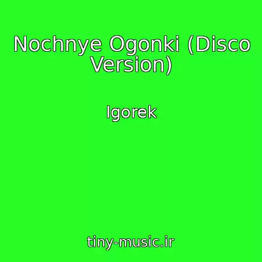 کاور آهنگ Nochnye Ogonki (Disco Version) از Igorek