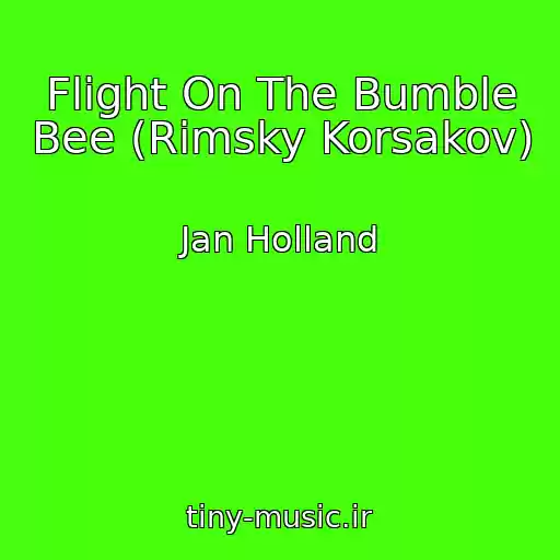 کاور آهنگ Flight On The Bumble Bee (Rimsky Korsakov) از Jan Holland