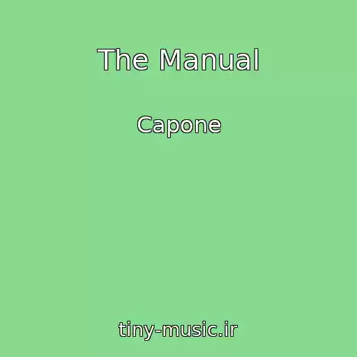 کاور آهنگ The Manual از Capone