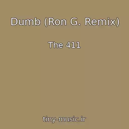 کاور آهنگ Dumb (Ron G. Remix) از The 411