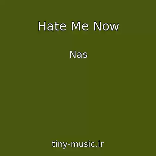 کاور آهنگ Hate Me Now از Nas
