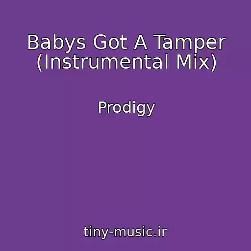 کاور آهنگ Babys Got A Tamper (Instrumental Mix) از Prodigy