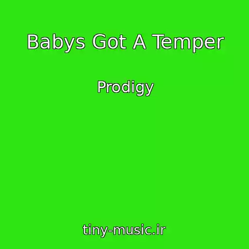 کاور آهنگ Babys Got A Temper از Prodigy