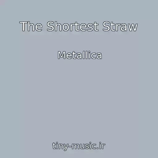 کاور آهنگ The Shortest Straw از Metallica
