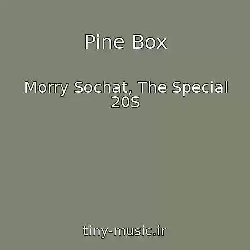 کاور آهنگ Pine Box از Morry Sochat, The Special 20S