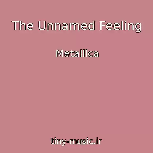 کاور آهنگ The Unnamed Feeling از Metallica