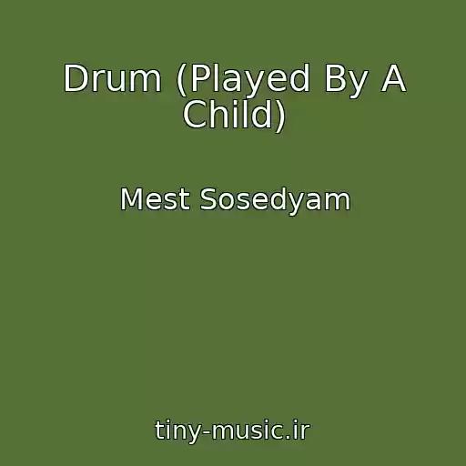 کاور آهنگ Drum (Played By A Child) از Mest Sosedyam