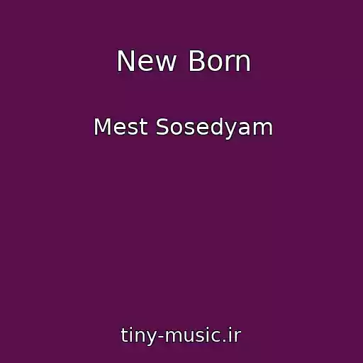 کاور آهنگ New Born از Mest Sosedyam