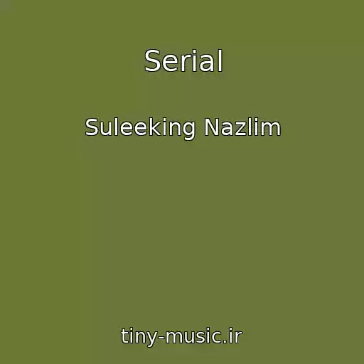 کاور آهنگ Serial از Suleeking Nazlim