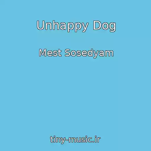 کاور آهنگ Unhappy Dog از Mest Sosedyam