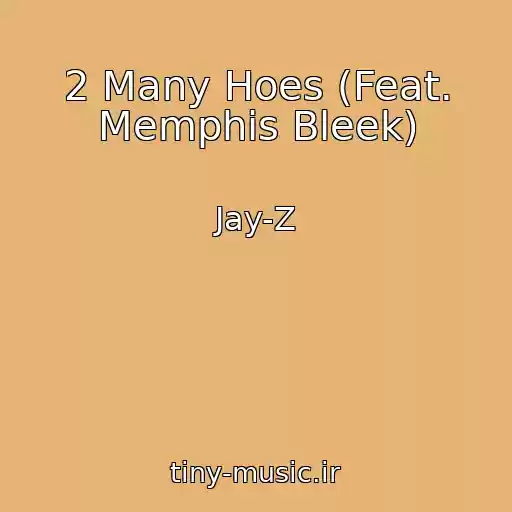 کاور آهنگ 2 Many Hoes (Feat. Memphis Bleek) از Jay-Z