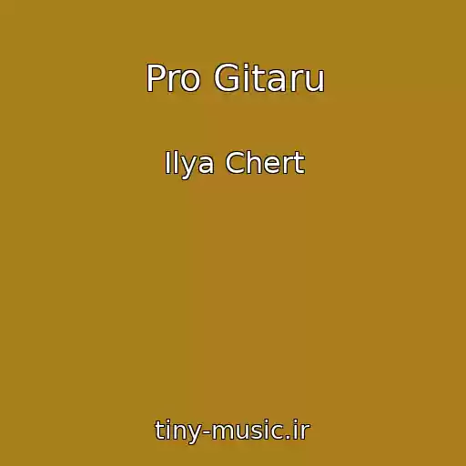 کاور آهنگ Pro Gitaru از Ilya Chert