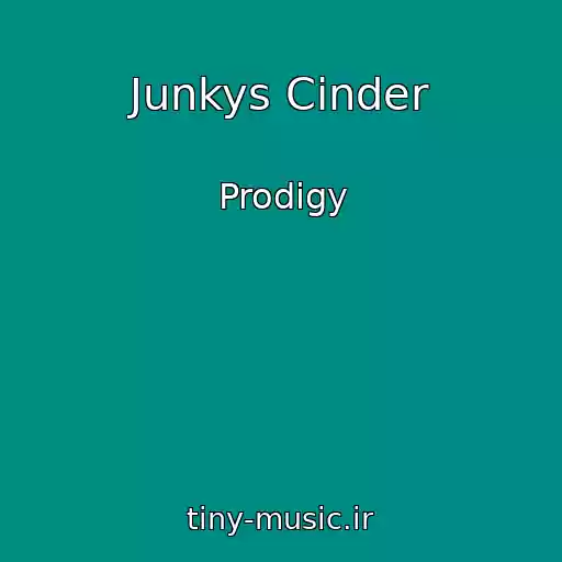 کاور آهنگ Junkys Cinder از Prodigy