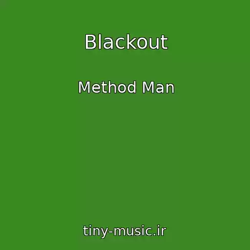 کاور آهنگ Blackout از Method Man