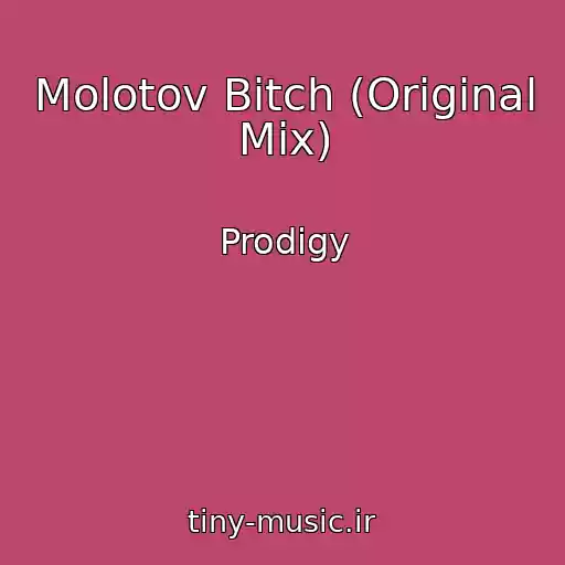 کاور آهنگ Molotov Bitch (Original Mix) از Prodigy