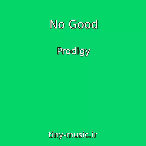 کاور آهنگ No Good از Prodigy