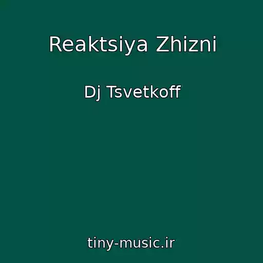کاور آهنگ Reaktsiya Zhizni از Dj Tsvetkoff