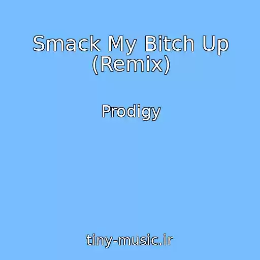 کاور آهنگ Smack My Bitch Up (Remix) از Prodigy
