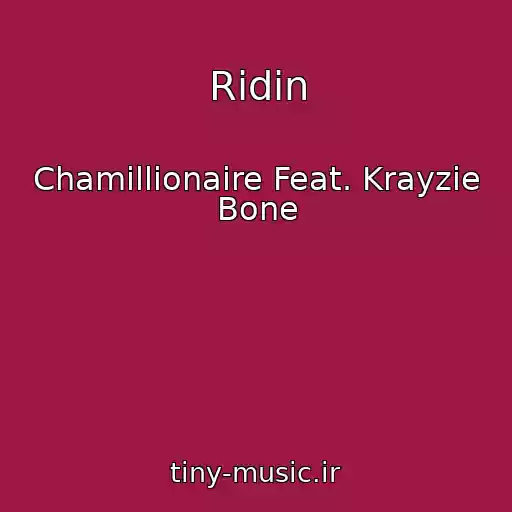 کاور آهنگ Ridin از Chamillionaire Feat. Krayzie Bone
