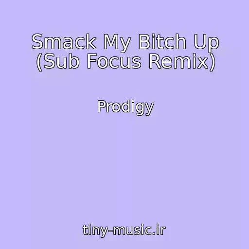کاور آهنگ Smack My Bitch Up (Sub Focus Remix) از Prodigy