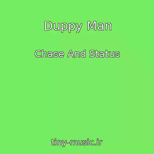 کاور آهنگ Duppy Man از Chase And Status