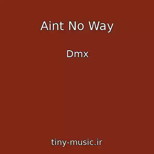 کاور آهنگ Aint No Way از Dmx