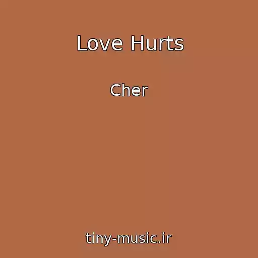 کاور آهنگ Love Hurts از Cher
