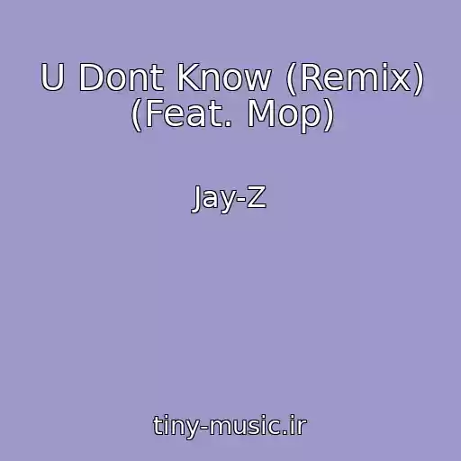 کاور آهنگ U Dont Know (Remix) (Feat. Mop) از Jay-Z