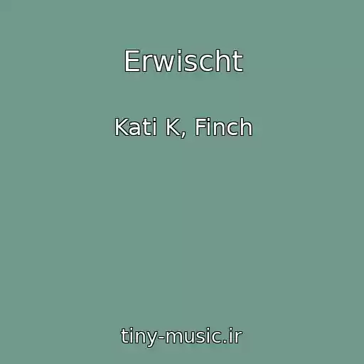 کاور آهنگ Erwischt از Kati K, Finch