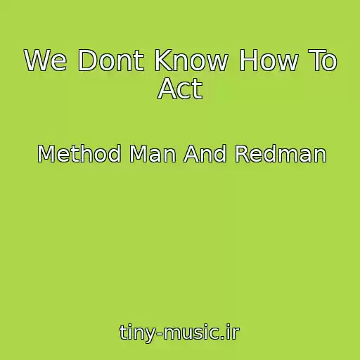 کاور آهنگ We Dont Know How To Act از Method Man And Redman