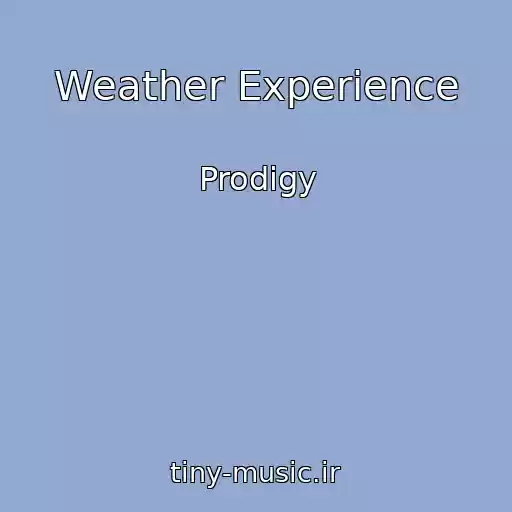 کاور آهنگ Weather Experience از Prodigy