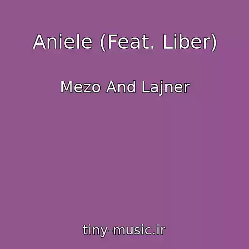 کاور آهنگ Aniele (Feat. Liber) از Mezo And Lajner