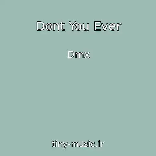 کاور آهنگ Dont You Ever از Dmx