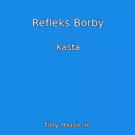 کاور آهنگ Refleks Borby از Kasta
