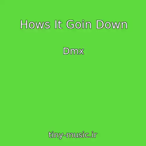 کاور آهنگ Hows It Goin Down از Dmx