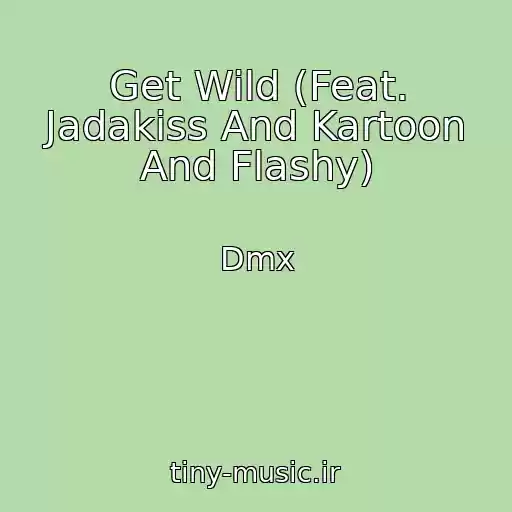 کاور آهنگ Get Wild (Feat. Jadakiss And Kartoon And Flashy) از Dmx
