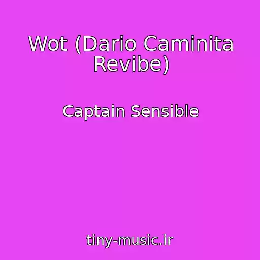 کاور آهنگ Wot (Dario Caminita Revibe) از Captain Sensible
