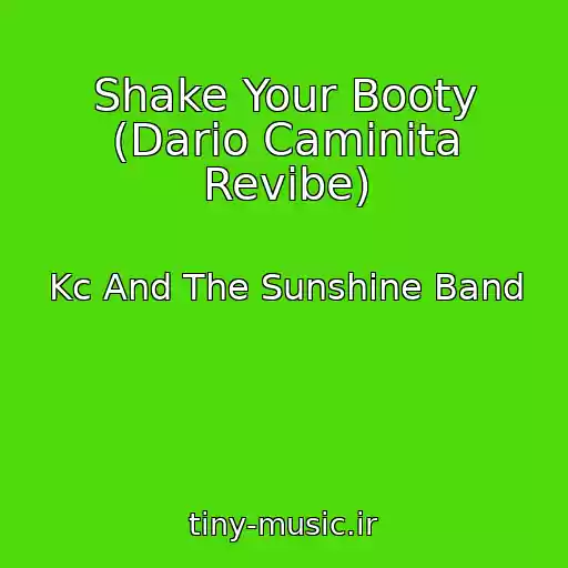 کاور آهنگ Shake Your Booty (Dario Caminita Revibe) از Kc And The Sunshine Band